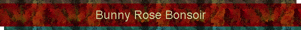 Bunny Rose Bonsoir
